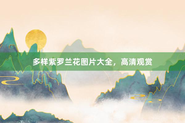 多样紫罗兰花图片大全，高清观赏