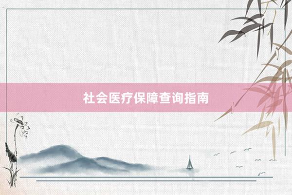社会医疗保障查询指南