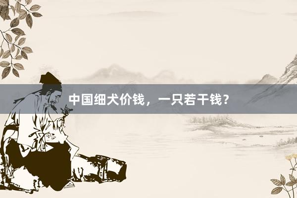 中国细犬价钱，一只若干钱？