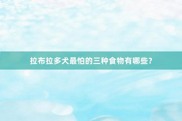 拉布拉多犬最怕的三种食物有哪些？