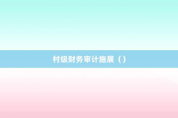 村级财务审计施展（）