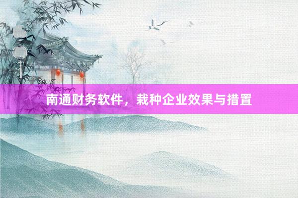 南通财务软件，栽种企业效果与措置